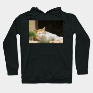 Gato Hoodie